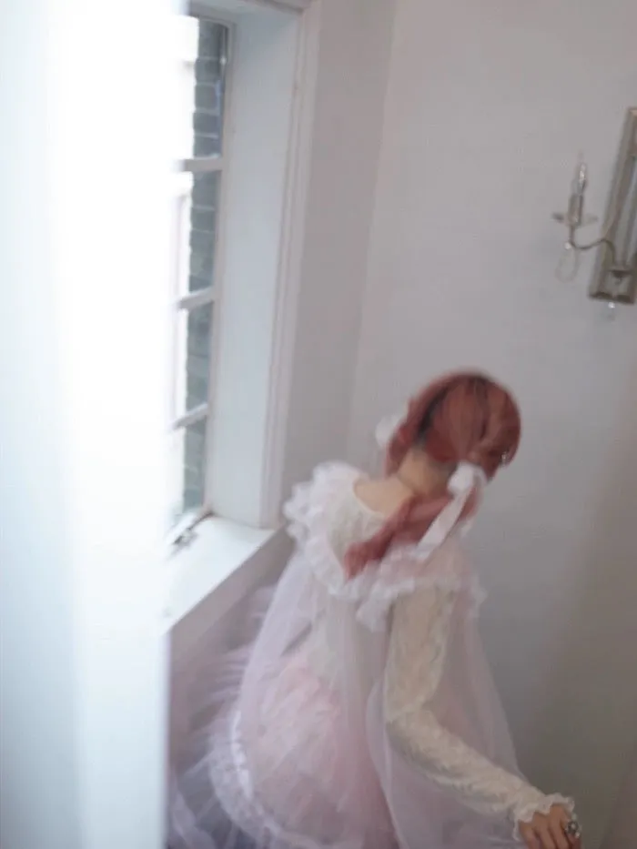 [August Unicorn] Rose romance transparent outer dress