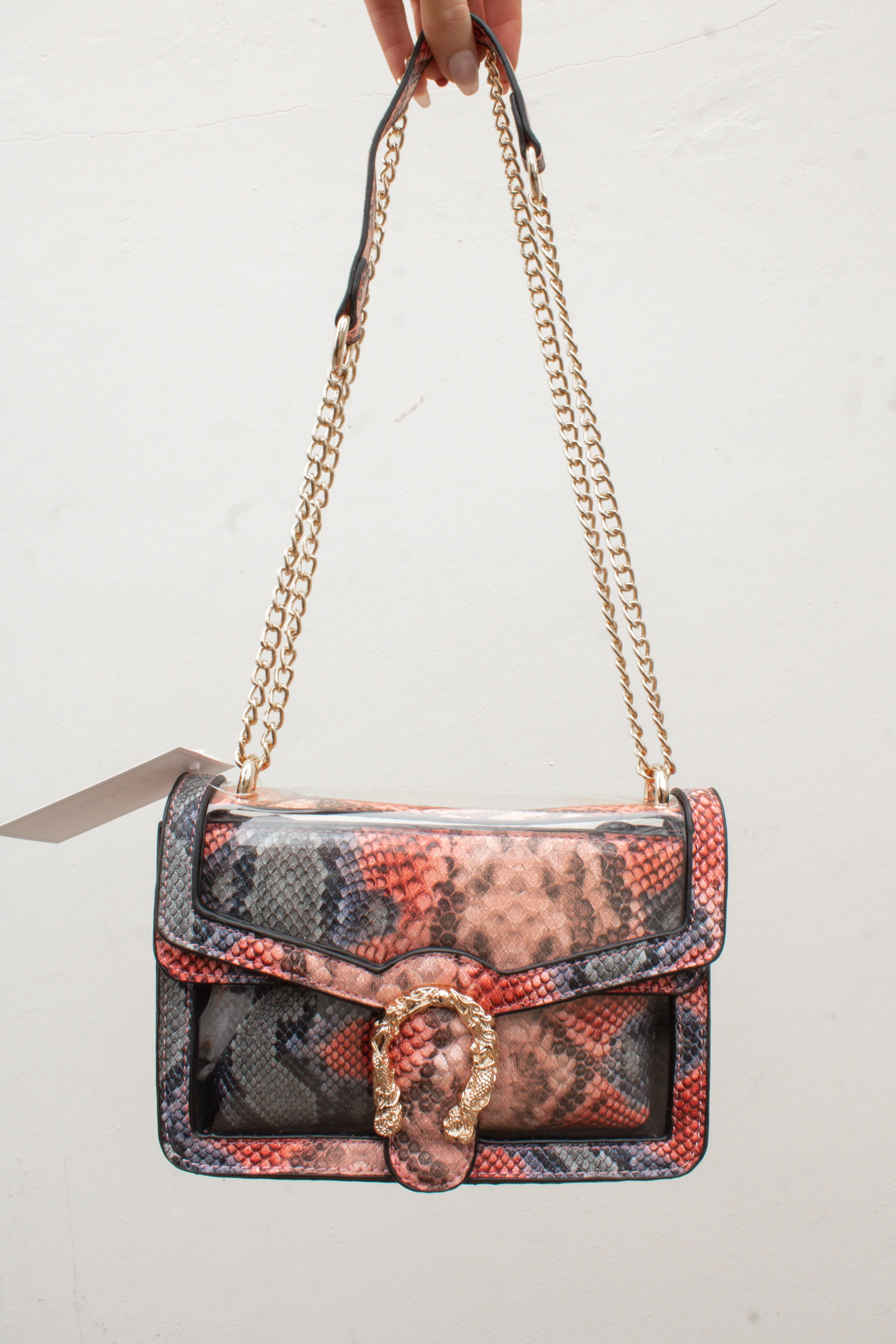 Python Print Clear Crossbody Bag